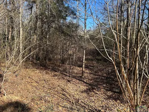 000 Cox Rd, Marshall, TX 75672 photo 11