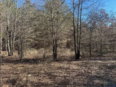 000 Cox Rd, Marshall, TX 75672 photo 6