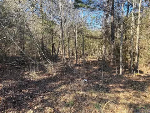 000 Cox Rd, Marshall, TX 75672 photo 10