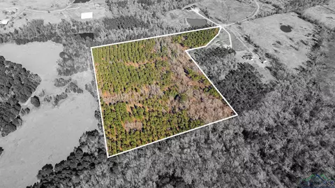 000 Eagle Court Rd, New Diana, TX 75640