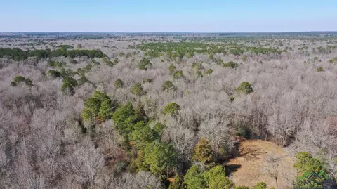0000 Private Road Easement Off Tx Hwy 43, Bivins, TX 75555