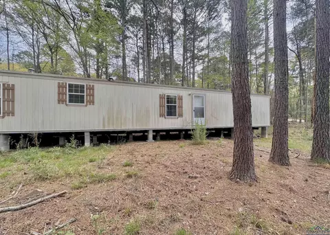 210 Walnut Dr, Harleton, TX 75651 photo 14