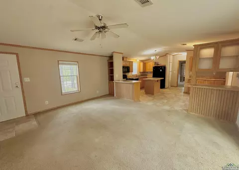 210 Walnut Dr, Harleton, TX 75651 photo 5