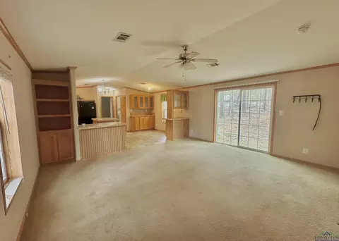 210 Walnut Dr, Harleton, TX 75651 photo 4