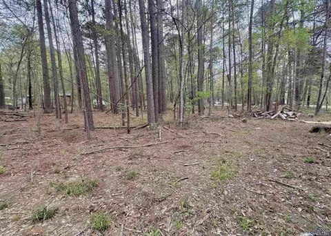 210 Walnut Dr, Harleton, TX 75651 photo 17