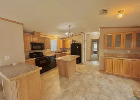 210 Walnut Dr, Harleton, TX 75651 photo 7