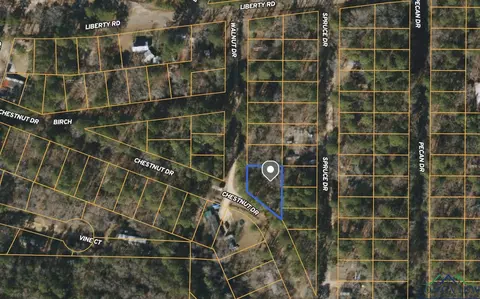 210 Walnut Dr, Harleton, TX 75651 photo 18