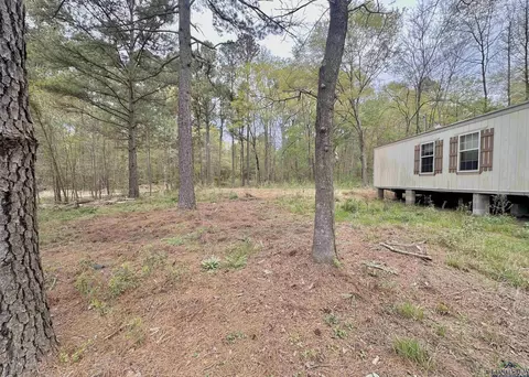 210 Walnut Dr, Harleton, TX 75651 photo 3