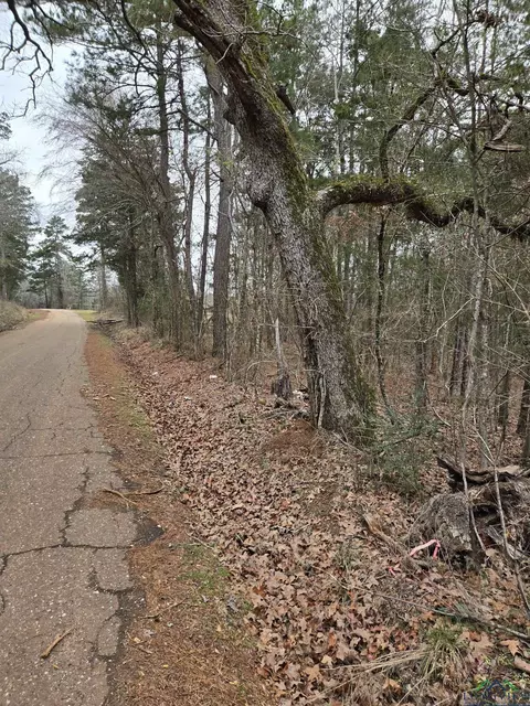 0000 Cr 3206, Laneville, TX 75667