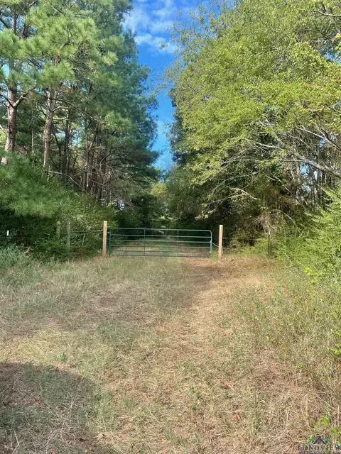 tbd Cr 2120, Pittsburg, TX 75686