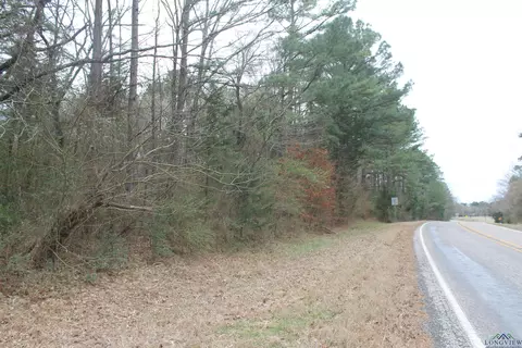 tbd Fm 2796 N S, Gilmer, TX 75644