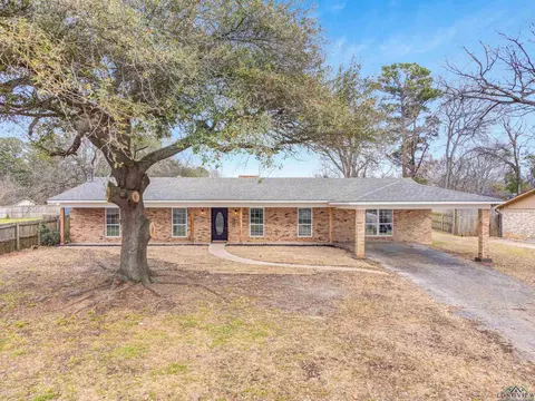 217 Ruby Ln, Longview, TX 75604 photo 1