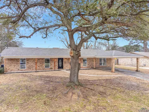 217 Ruby Ln, Longview, TX 75604 photo 32