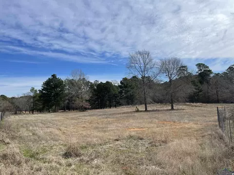 700 Prospect, Longview, TX 75603 photo 1
