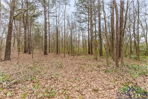 250 E Pliler Precise, Longview, TX 75605 photo 16