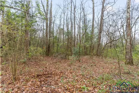250 E Pliler Precise, Longview, TX 75605 photo 11