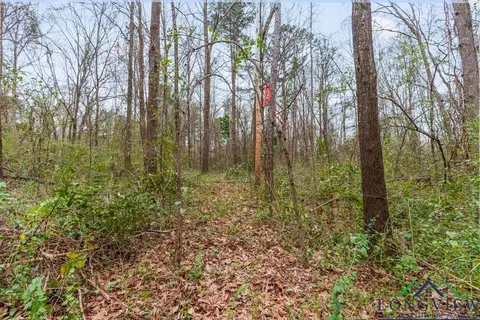 250 E Pliler Precise, Longview, TX 75605 photo 13