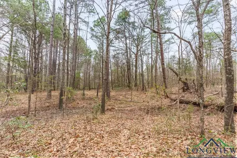 250 E Pliler Precise, Longview, TX 75605 photo 17