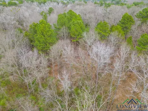 250 E Pliler Precise, Longview, TX 75605 photo 19