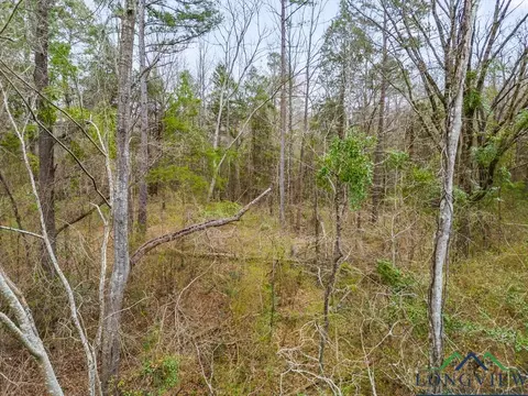 250 E Pliler Precise, Longview, TX 75605 photo 8