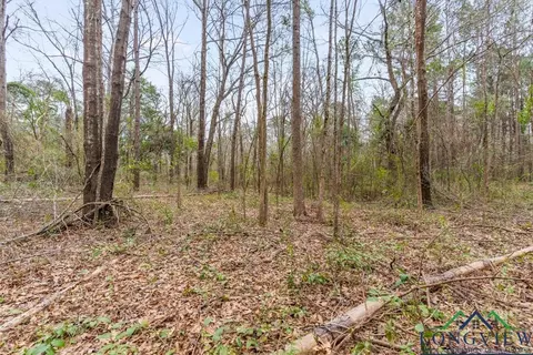 250 E Pliler Precise, Longview, TX 75605 photo 15