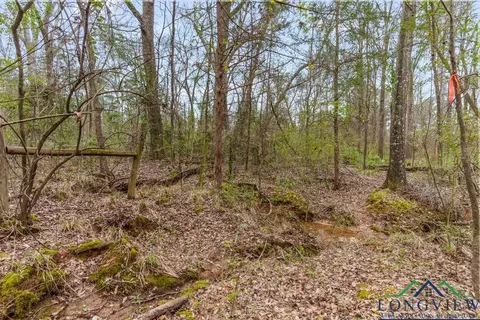 250 E Pliler Precise, Longview, TX 75605 photo 12