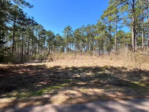 60 Ac Tbd Cr 1453, Linden, TX 75563