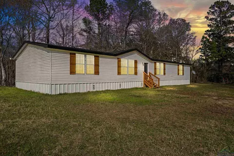 2411 Driskell Brg, Harleton, TX 75651 photo 1