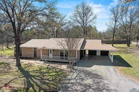 3633 Silk Tree Rd, Gilmer, TX 75645 photo 1