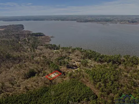 tbd Theron Dr #11, Lone Star, TX 75668