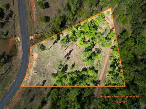 Lt 53 Marble Way, Hallsville, TX 75650