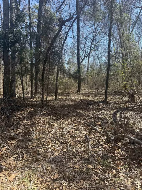 tbd King Arthur Ct, Scroggins, TX 75480
