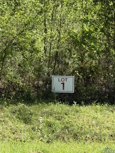 tbd S Lot 1 S Fm 839, Henderson, TX 75652