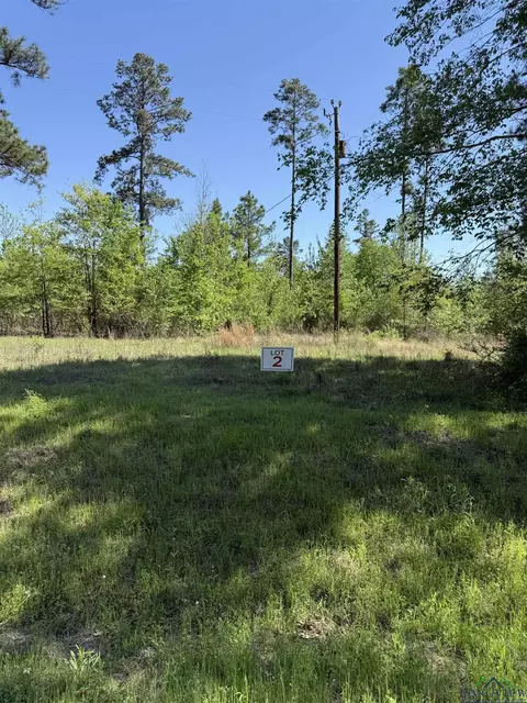 tbd S Lot 2 S Fm 839, Henderson, TX 75652