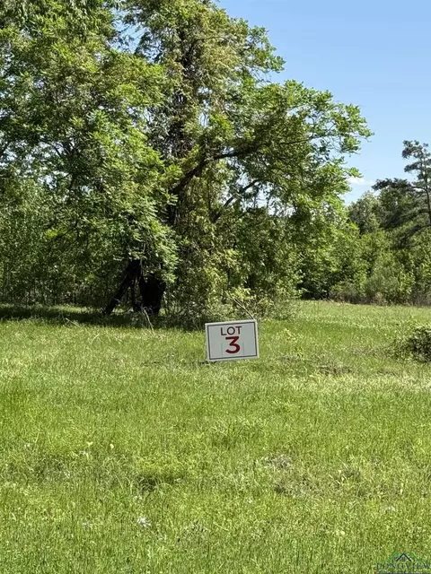 tbd S Lot 3 S Fm 839, Henderson, TX 75652