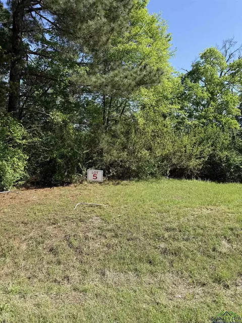 tbd S Lot 5 S Fm 839, Henderson, TX 75652