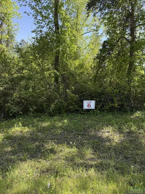 tbd S Lot 6 S Fm 839, Henderson, TX 75652