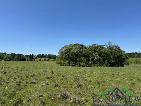 tbd Fm 2685, Gilmer, TX 75645