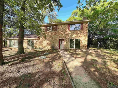 260 Hickory Rd, Harleton, TX 75651 photo 1