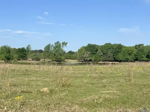 tbd Fm 1402, Mount Pleasant, TX 75455