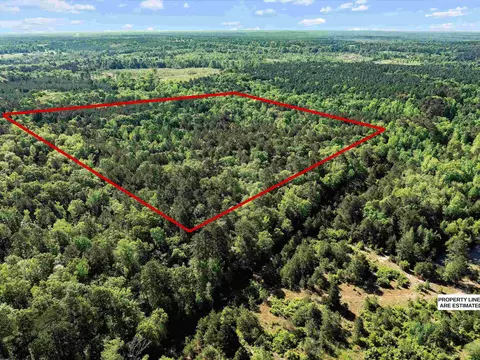 tbd Trinity Rd, Jefferson, TX 75657 photo 3