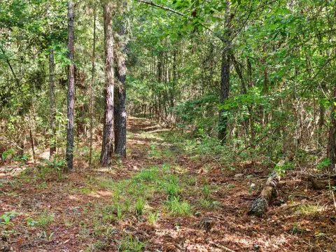 tbd Trinity Rd, Jefferson, TX 75657 photo 5
