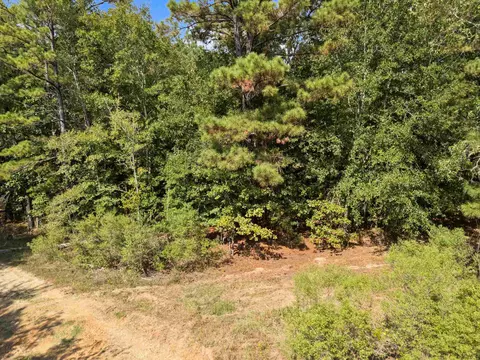 tbd Grimes Rd, Elysian Fields, TX 75642 photo 15