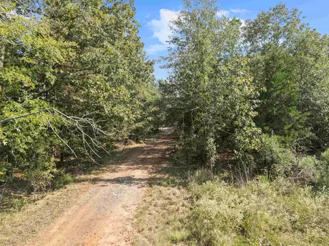 tbd Grimes Rd, Elysian Fields, TX 75642 photo 14