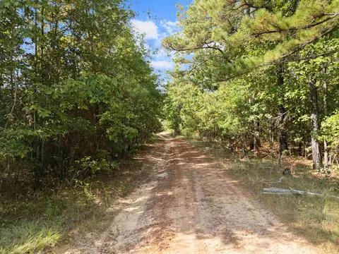 tbd Grimes Rd, Elysian Fields, TX 75642 photo 20