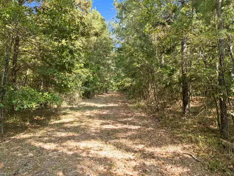 tbd Grimes Rd, Elysian Fields, TX 75642 photo 16