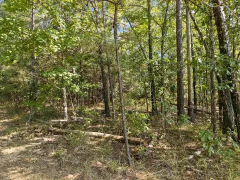 tbd Grimes Rd, Elysian Fields, TX 75642 photo 18