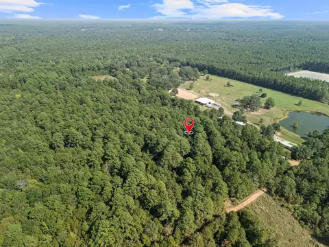 tbd Grimes Rd, Elysian Fields, TX 75642 photo 3