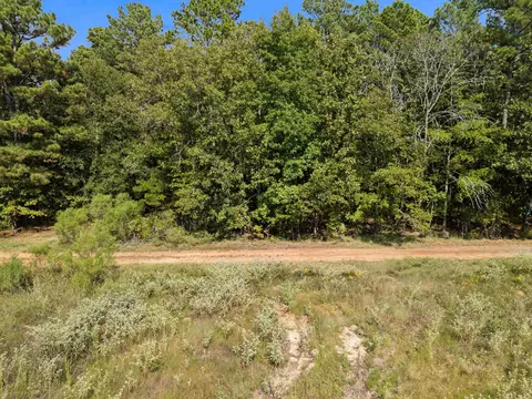 tbd Grimes Rd, Elysian Fields, TX 75642 photo 13