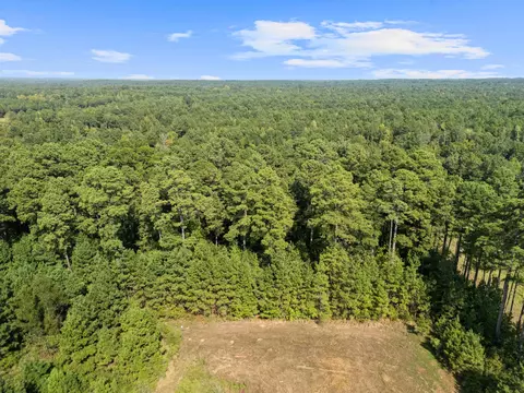 tbd Grimes Rd, Elysian Fields, TX 75642 photo 7